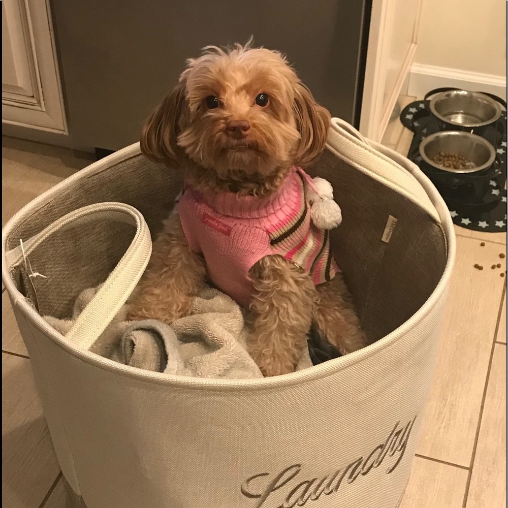 Meet your Posher, Dawn